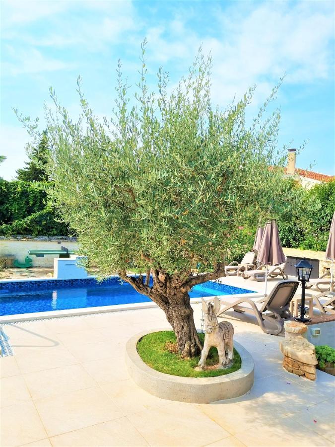 Apartment Villa Engel With Pool Porec Ngoại thất bức ảnh